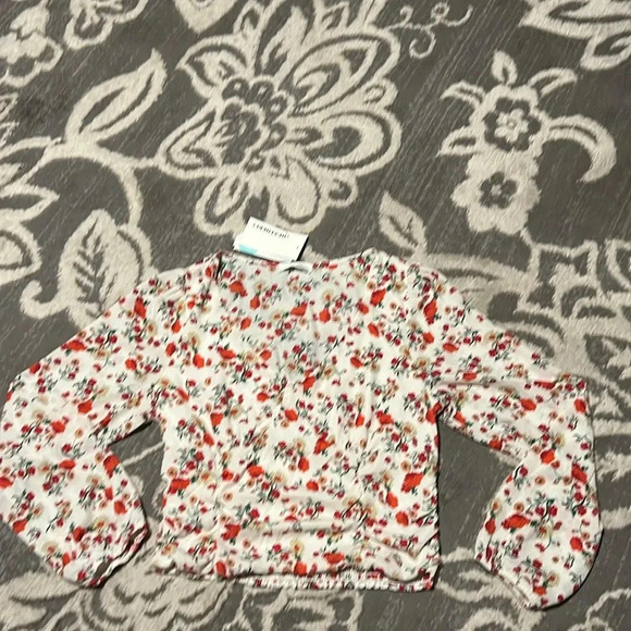 Heatherly blouse. Crop top. Long sleeve. Sheer. Super soft. Dressy or casual. - Picture 1 of 5